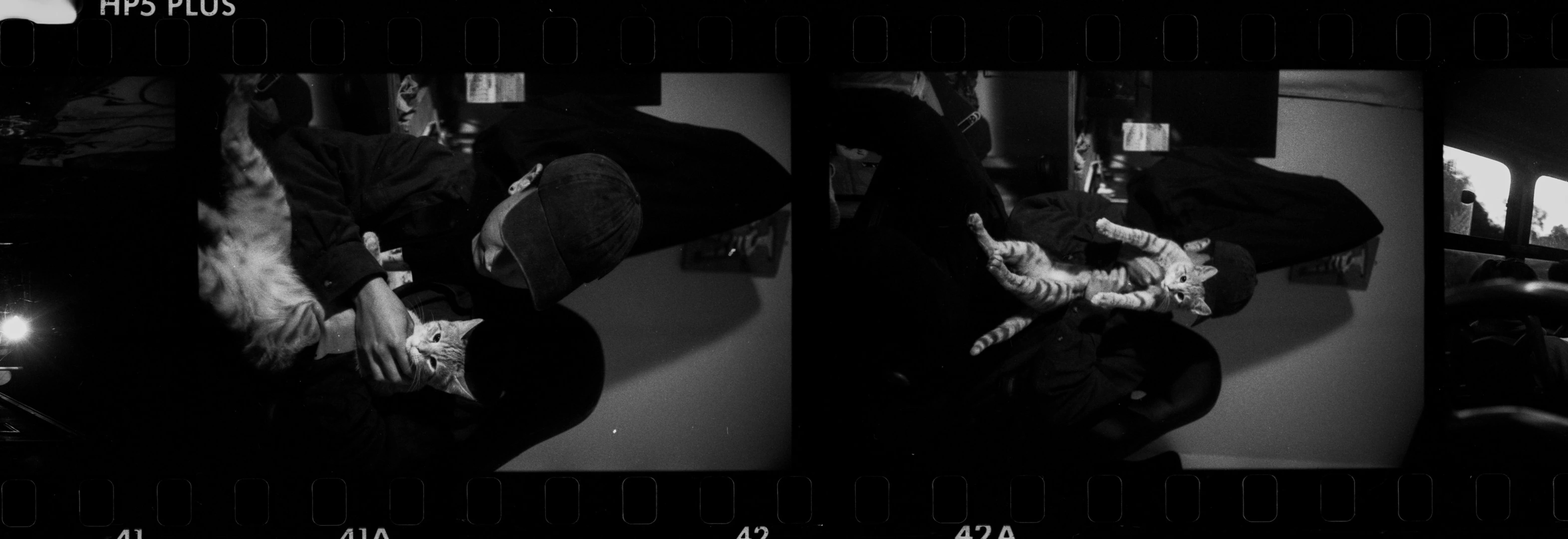 Negative with sprockets